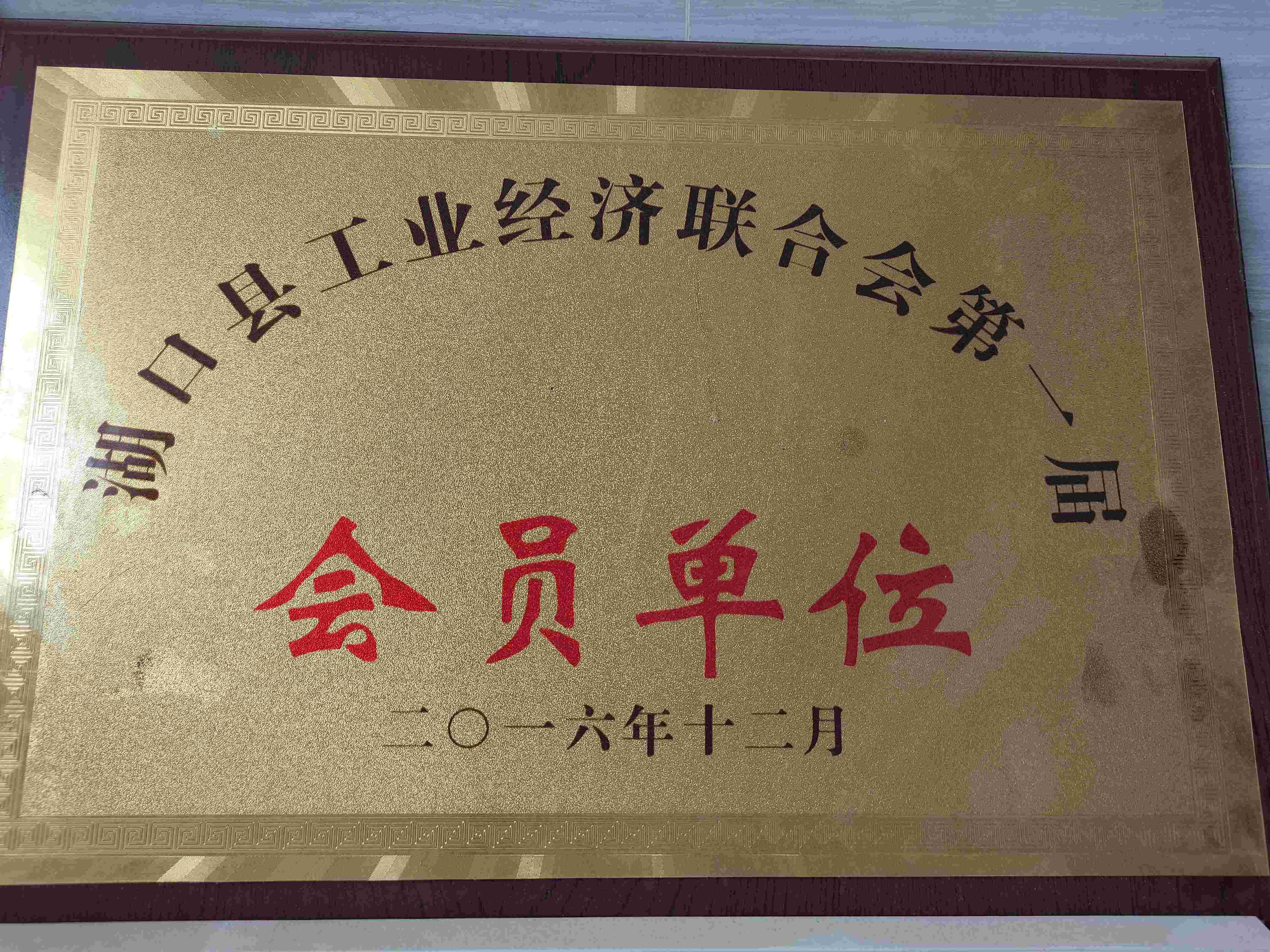 湖口縣工業(yè)經(jīng)濟(jì)聯(lián)合會(huì)會(huì)員單位